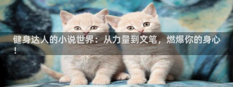 qy千亿球友会app