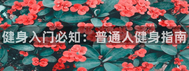 QY球友会体育官方平台