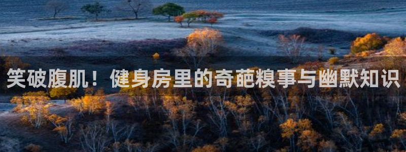 QY球友会体育官网