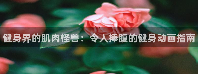 qy球友会手机版
