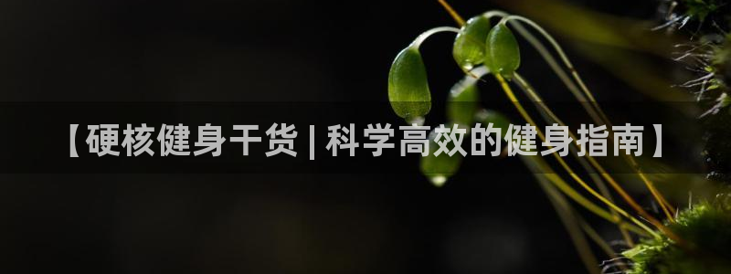 yq球友会app下载