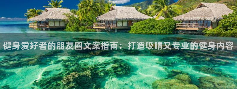 qy球友会体育(中国)官方网站