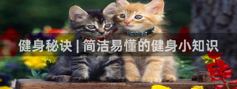 千亿球友会首页