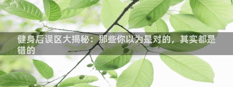 QY球友会2