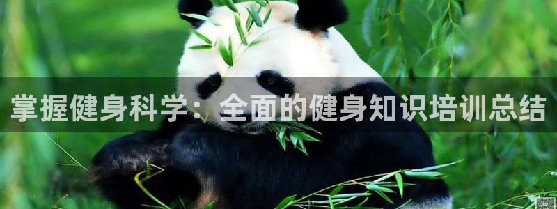 qy亿球友会体育