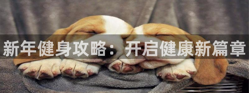 QY球友会官网