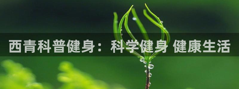 qy千亿球友会app下载