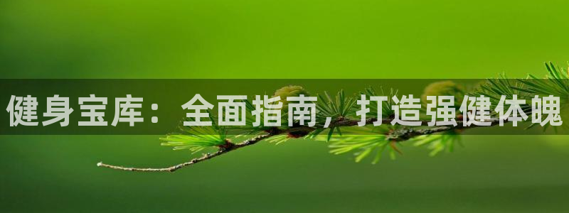 QY球友会