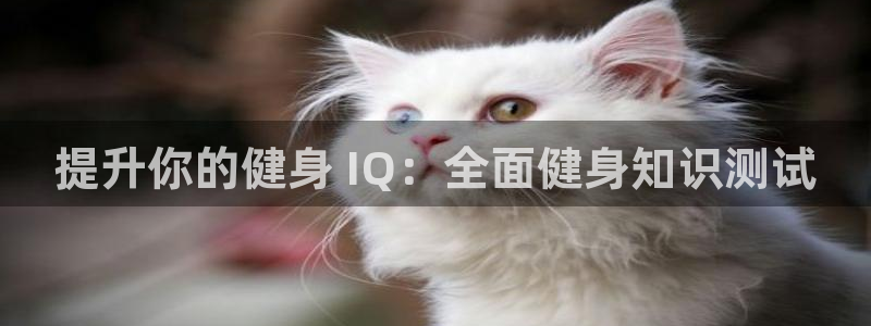 球友会在线登录
