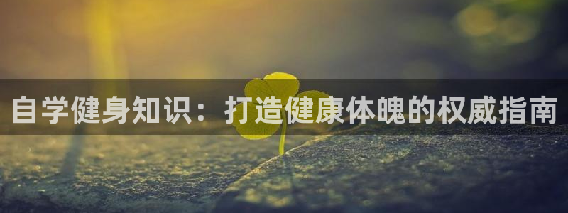 qy球友会官网app下载