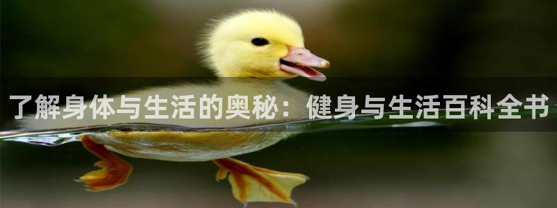 QY球友会官网