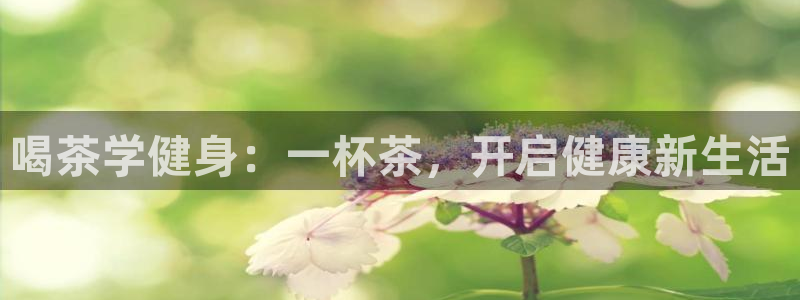QY球友会体育